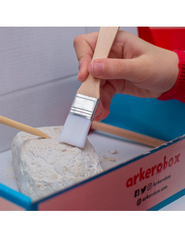 UP-ARK2421,Arkerobox - Set arheologic educational si puzzle 3D, Chichen Itza