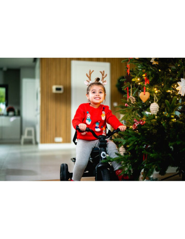 BN-LO-HAARI_GREEN_EMERALD,Tricicleta copii, Lionelo, Haari, Suport picioare, Control al directiei, Scaun reversibil, Rotire 360 