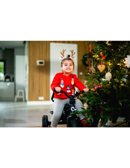 BN-LO-HAARI_GREEN_EMERALD,Tricicleta copii, Lionelo, Haari, Suport picioare, Control al directiei, Scaun reversibil, Rotire 360 