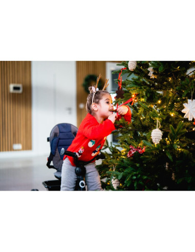 BN-LO-HAARI_GREEN_EMERALD,Tricicleta copii, Lionelo, Haari, Suport picioare, Control al directiei, Scaun reversibil, Rotire 360 