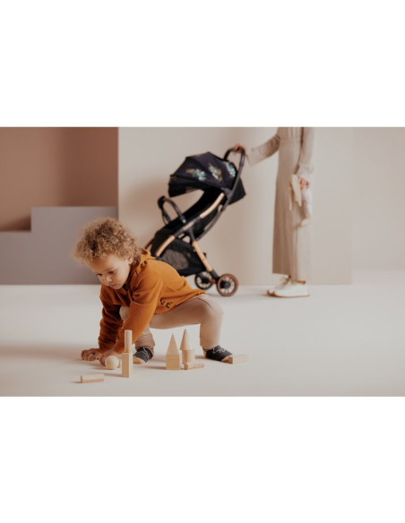 BN-LO-JULIE_ONE_GOLDEN_MOMENTS,Carucior sport, Lionelo, Julie One, Editie limitata Golden Moments, De la nastere, Greutate redus