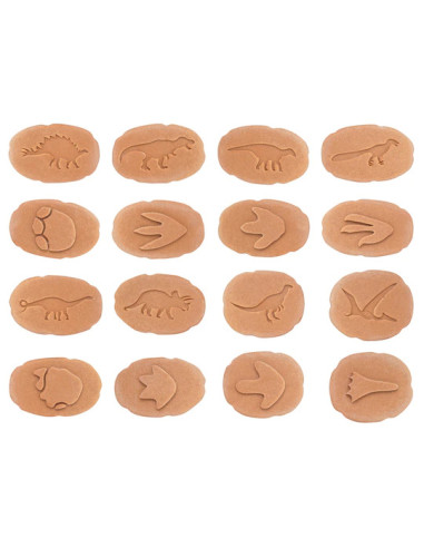 YD1086,Sa investigam! - Urme dinozauri