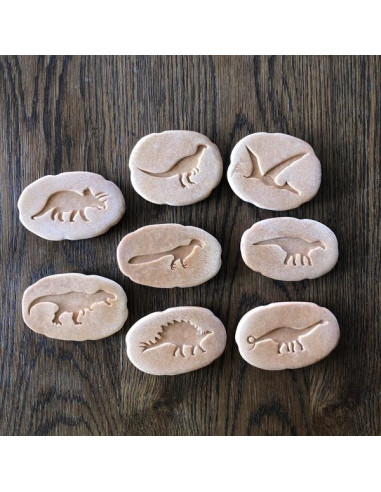 YD1086,Sa investigam! - Urme dinozauri