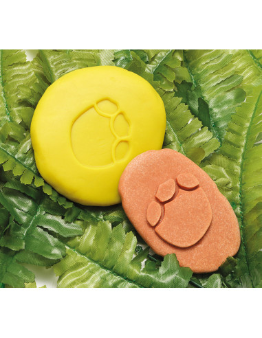 YD1086,Sa investigam! - Urme dinozauri