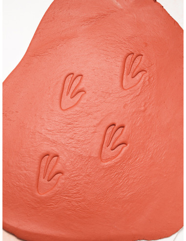 YD1086,Sa investigam! - Urme dinozauri