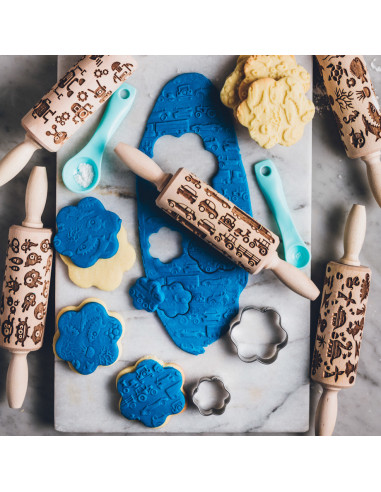 FB-VEH-2,Sucitor creativ Vehicule