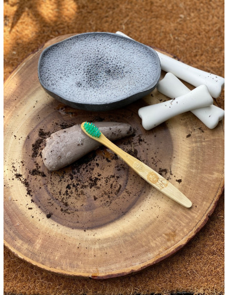 YD1202,Sa investigam! - Dinti preistorici YD1202,Sa investigam! - Dinti preistorici