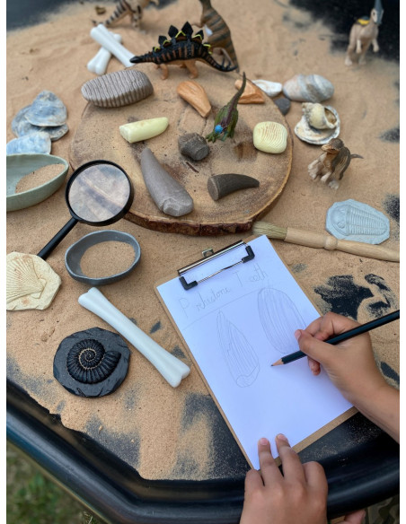 YD1202,Sa investigam! - Dinti preistorici YD1202,Sa investigam! - Dinti preistorici