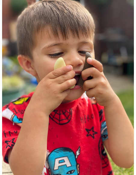 YD1202,Sa investigam! - Dinti preistorici YD1202,Sa investigam! - Dinti preistorici