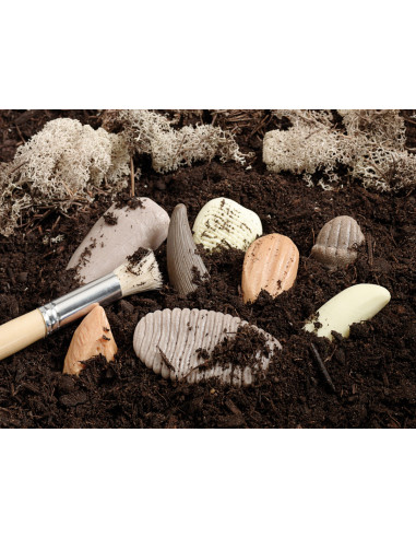 YD1202,Sa investigam! - Dinti preistorici YD1202,Sa investigam! - Dinti preistorici