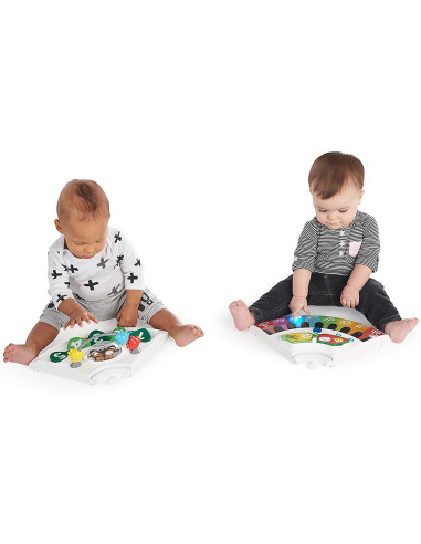 BB-11311,Baby Einstein - Centru de activitati 4 in 1 Around We Grow