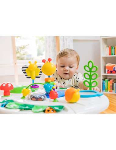BB-11311,Baby Einstein - Centru de activitati 4 in 1 Around We Grow