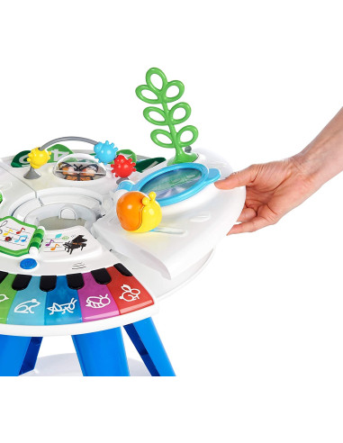 BB-11311,Baby Einstein - Centru de activitati 4 in 1 Around We Grow