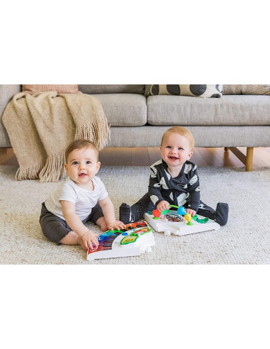 BB-11311,Baby Einstein - Centru de activitati 4 in 1 Around We Grow