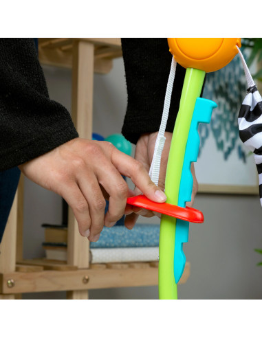 BB-13094,Baby Einstein - Centru de Activitati cu Jucarie Electronica Curiosity Cove