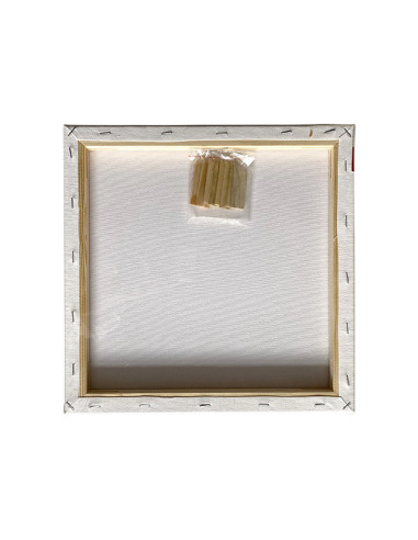 MCPPL30X30,Panza pentru pictura pe sasiu 30 x 30 cm sf art pigna