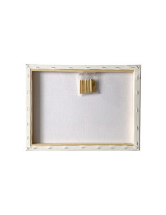 MCPPL30X40,Panza pentru pictura pe sasiu 30 x 40 cm sf art pigna 2