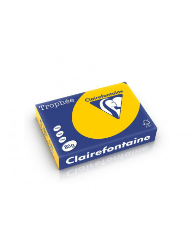 Hârtie color Clairefontaine Intens, Sunflower, 500