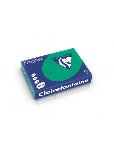 Carton color Clairefontaine Intens, Verde inch,HCO002