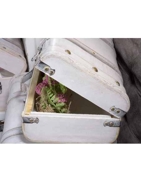 Set 2 valize, lemn, cu detalii metalice, Alb,512424