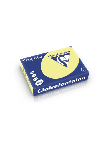 Carton color Clairefontaine Pastel, Daffodil,HCO015
