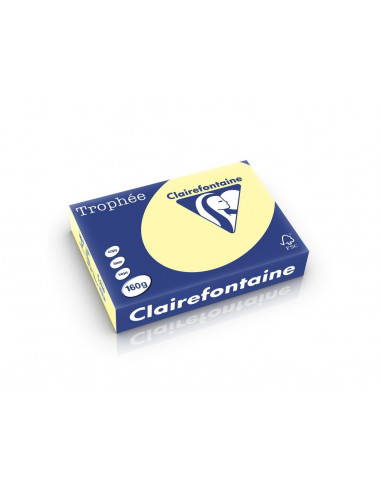 Carton color Clairefontaine Pastel, Galben,HCO015