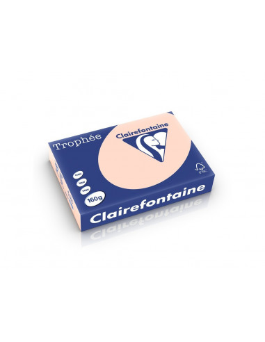 Carton color Clairefontaine Pastel, Somon,HCO015