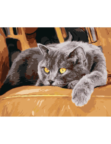 GBN437_4050,Goblen cu Diamante patrate, 40x50 cm, cod GBN-437