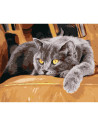 GBN437_4050,Goblen cu Diamante patrate, 40x50 cm, cod GBN-437