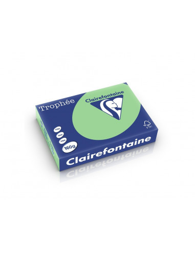 Carton color Clairefontaine Pastel, Verde inch,HCO015