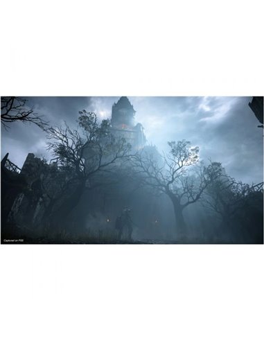 SO-9809920,Joc Sony PS5 - DEMON'S SOULS