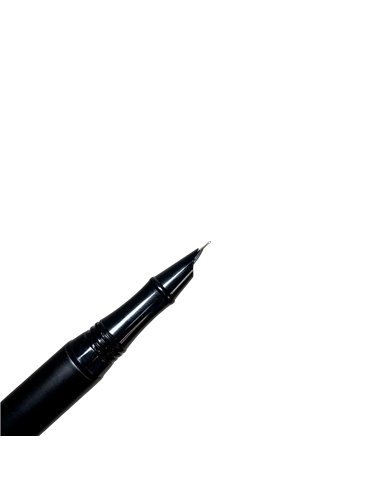 TT318FVNE/PA,Stilou metalic cu penita ascunsa iridium, 0.38 mm, Negru mat