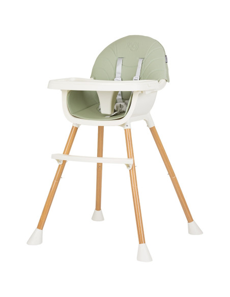 STHRI02304AL,Scaun de masa Chipolino Rio 2 in 1 aloe