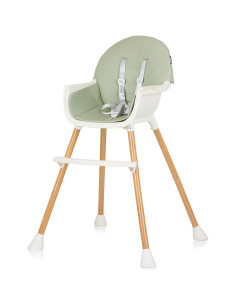 STHRI02304AL,Scaun de masa Chipolino Rio 2 in 1 aloe 2