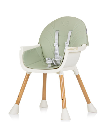 STHRI02304AL,Scaun de masa Chipolino Rio 2 in 1 aloe