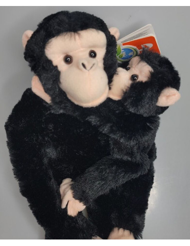 WR15265,Maimuta care se agata Cimpanzeu cu pui