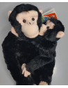 WR15265,Maimuta care se agata Cimpanzeu cu pui