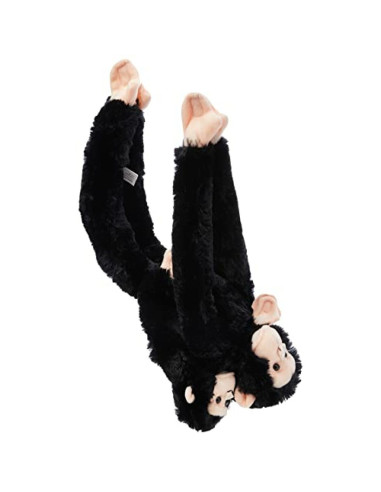 WR15265,Maimuta care se agata Cimpanzeu cu pui