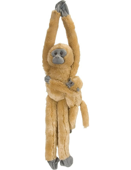 WR15262,Maimuta care se agata Com Langur cu pui