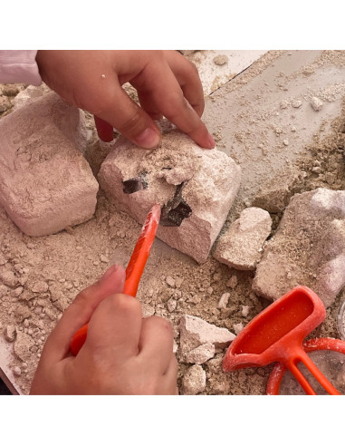 UP-ARK2162,Arkerobox - Set arheologic educational si puzzle 3D, Dino