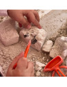 UP-ARK2162,Arkerobox - Set arheologic educational si puzzle 3D, Dino