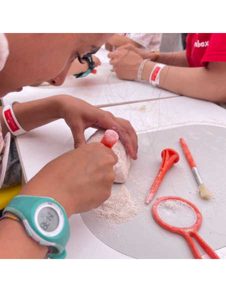 UP-ARK2162,Arkerobox - Set arheologic educational si puzzle 3D, Dino