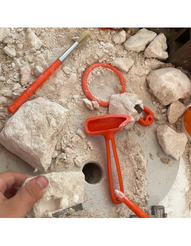 UP-ARK2162,Arkerobox - Set arheologic educational si puzzle 3D, Dino