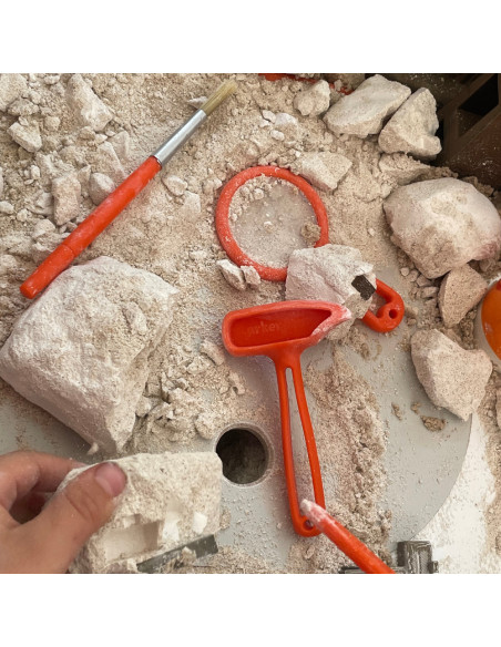 UP-ARK2162,Arkerobox - Set arheologic educational si puzzle 3D, Dino