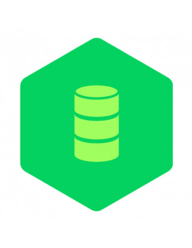SUSE ES BC 4 OSD 1-2 Skt 1yr 24x7 E-LTU,P9P47AAE