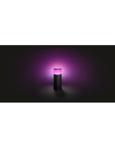 CALLA WACA HUE EXT. PEDESTAL BLACK 1X8W "000008718696167991" (timbru verde 2.00 lei)