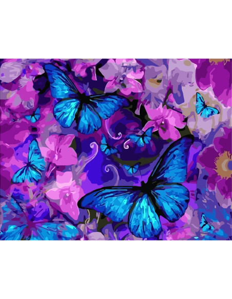 PDP3390_5040,Picturi pe numere Fluturi, 40x50 cm, Paleta Elocventa, PDP3390