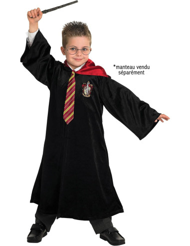 301119,Accesorii Harry Potter - Bagheta, cravata & ochelari