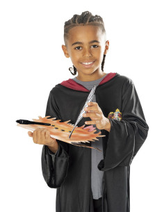 301750,Accesorii Harry Potter - Cartea Monstrilor 2