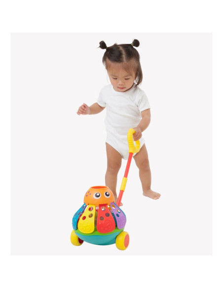 BN-408637407,Jucarie de impins, Playgro, Cu 3 bile colorate, Cu maner detasabil, 6 luni+, Push Along Ball Popping Octopus